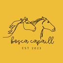 BOSCA CAPAILL MOBILE PIZZERIA